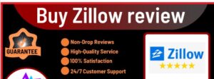 Buy Zillow Reviews